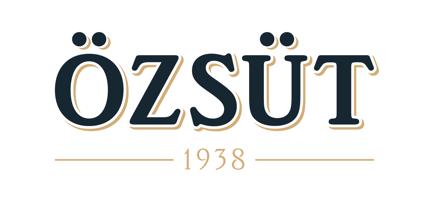 Özsüt Ural İstif Referansı